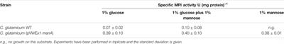 Exploring the Potential of Corynebacterium glutamicum to Produce the Compatible Solute Mannosylglycerate